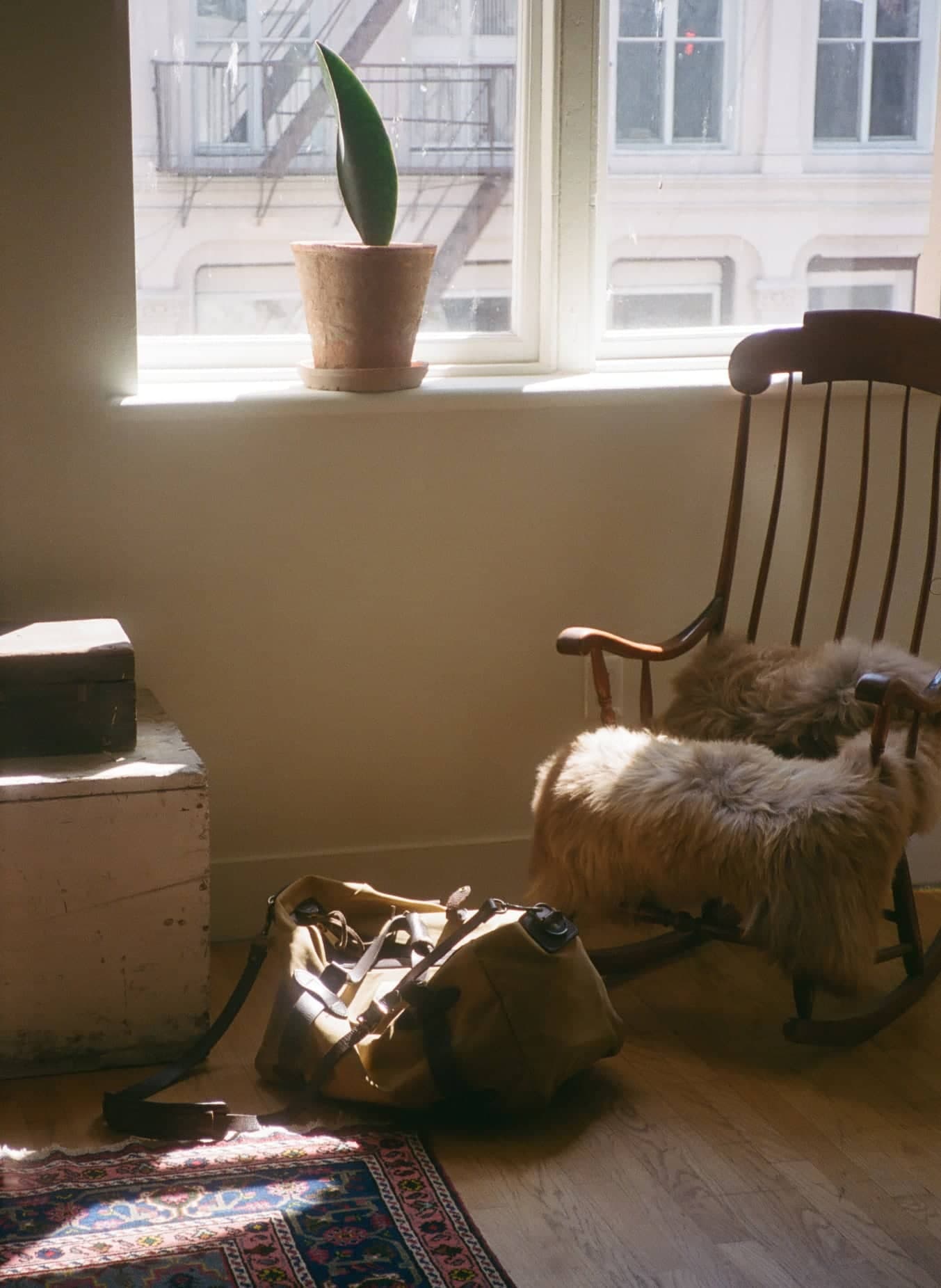 Peace and quiet at the office