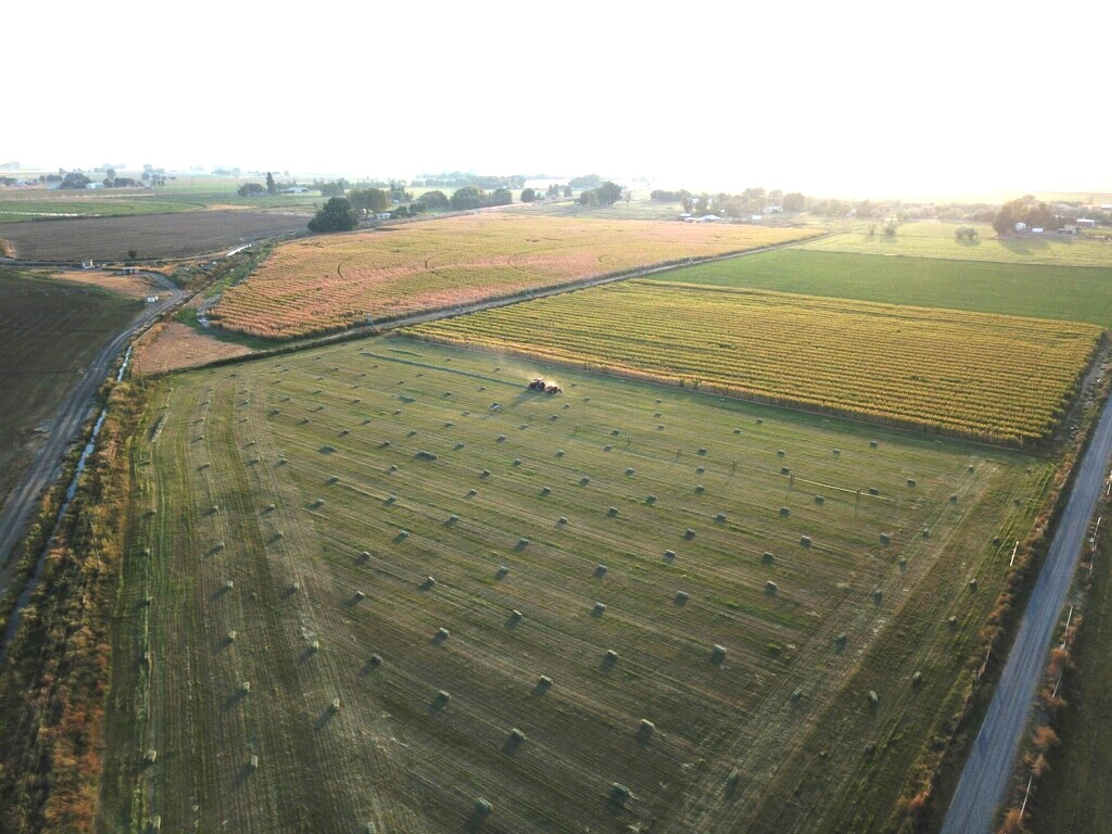 Getting ahead of the Schedule F: How a Kansas farmer simplified taxes