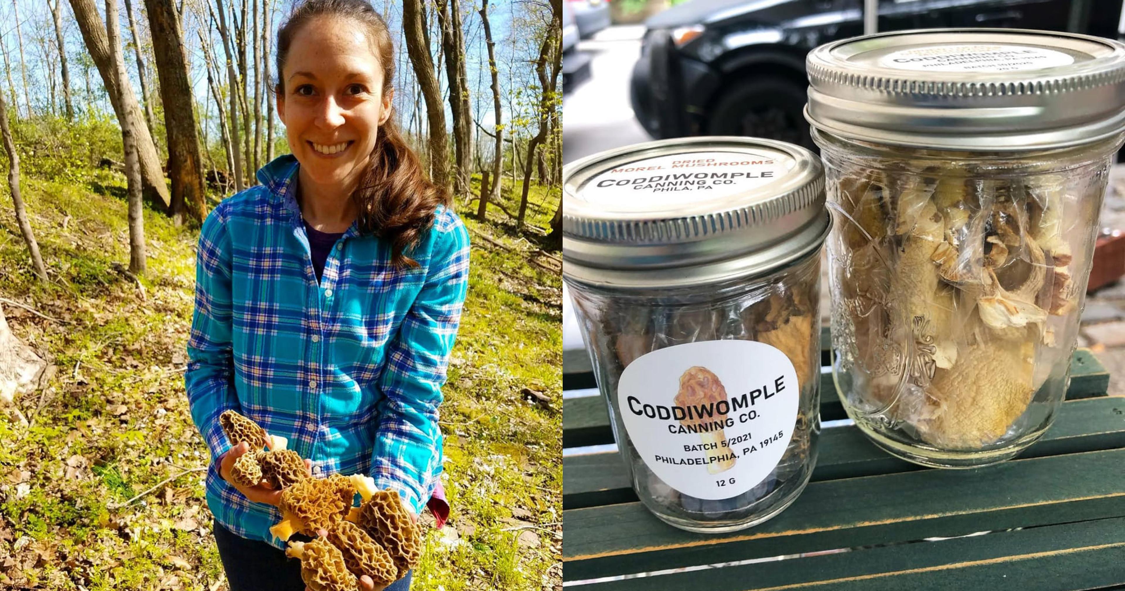 How Coddiwomple Canning doubled sales with financial clarity