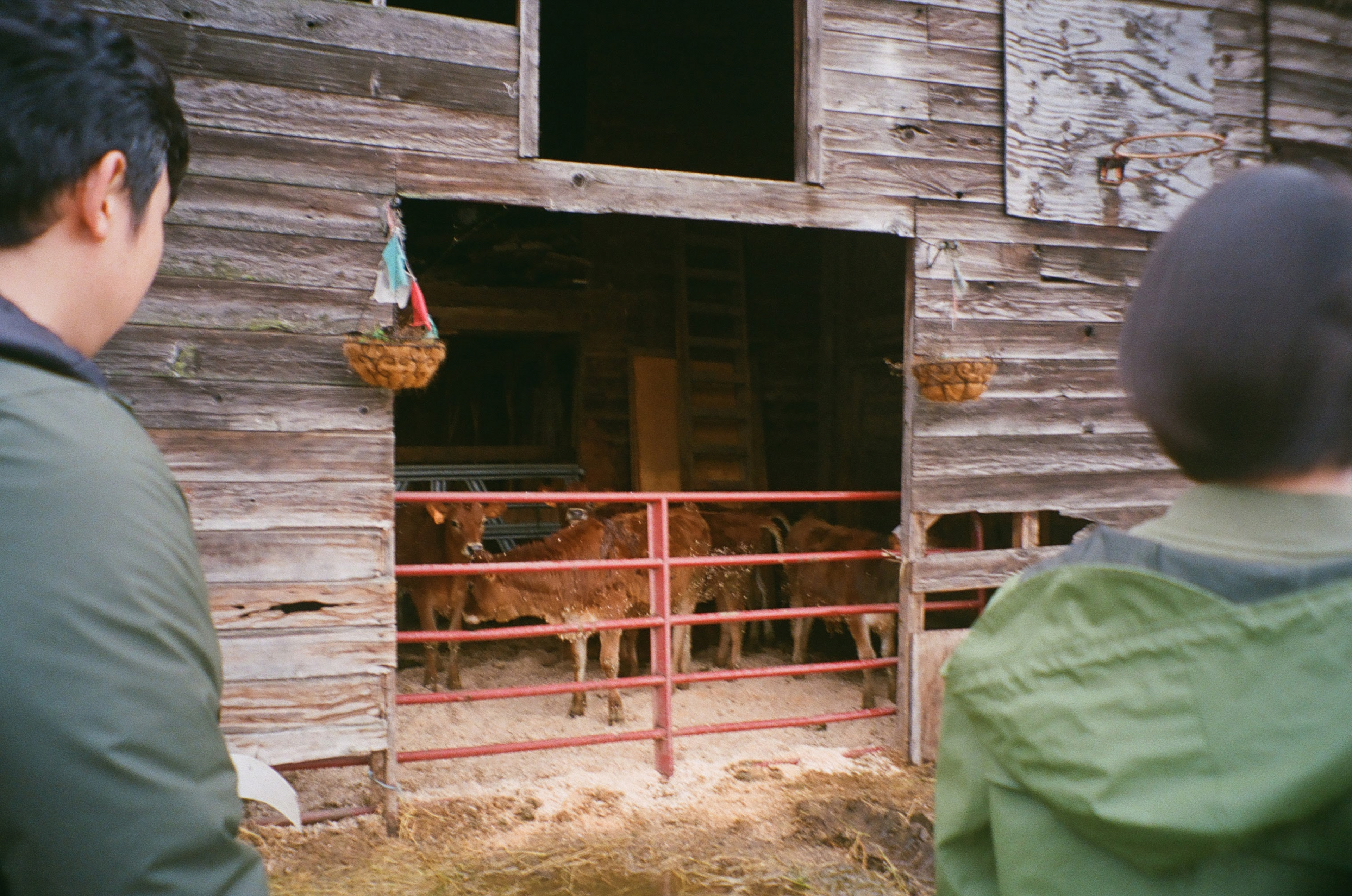 From Raw Milk to Cheese: How Fantello Farmstead Creamery Unlocks the Unit Economics of their Dairy